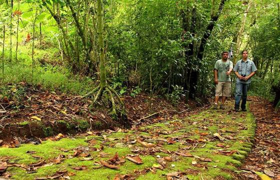  Two guides walk along a moss-covered path surrounded by lush rainforest in Bajos del Toro.  