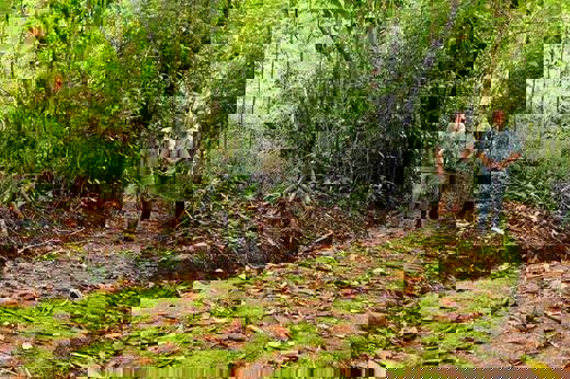  Two guides walk along a moss-covered path surrounded by lush rainforest in Bajos del Toro.  