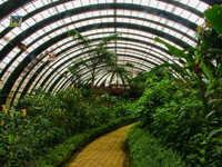 Butterfly Garden