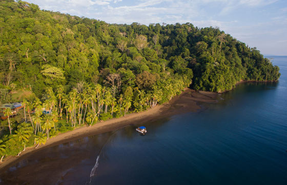 Lush rainforest meets serene ocean waters at Cativo Lodge on Costa Rica's remote Golfo Dulce. 