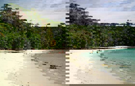 White sandy beach backed by lush rainforest in Manuel Antonio National Park, with people walking along the the shore and calm turquoise waters.