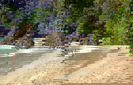 A lone beachgoer strolls the sandy edge of Manuel Antonio, where jungle meets ocean cliffs.
