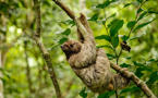 Regularmanuelantonio Nationalparkhal Daytour.Image.4