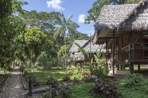 Tambopata Ecolodge 053