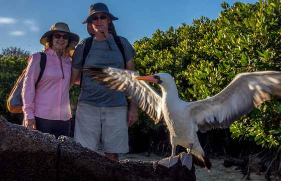 Bahia Darwin Genovesa (41)