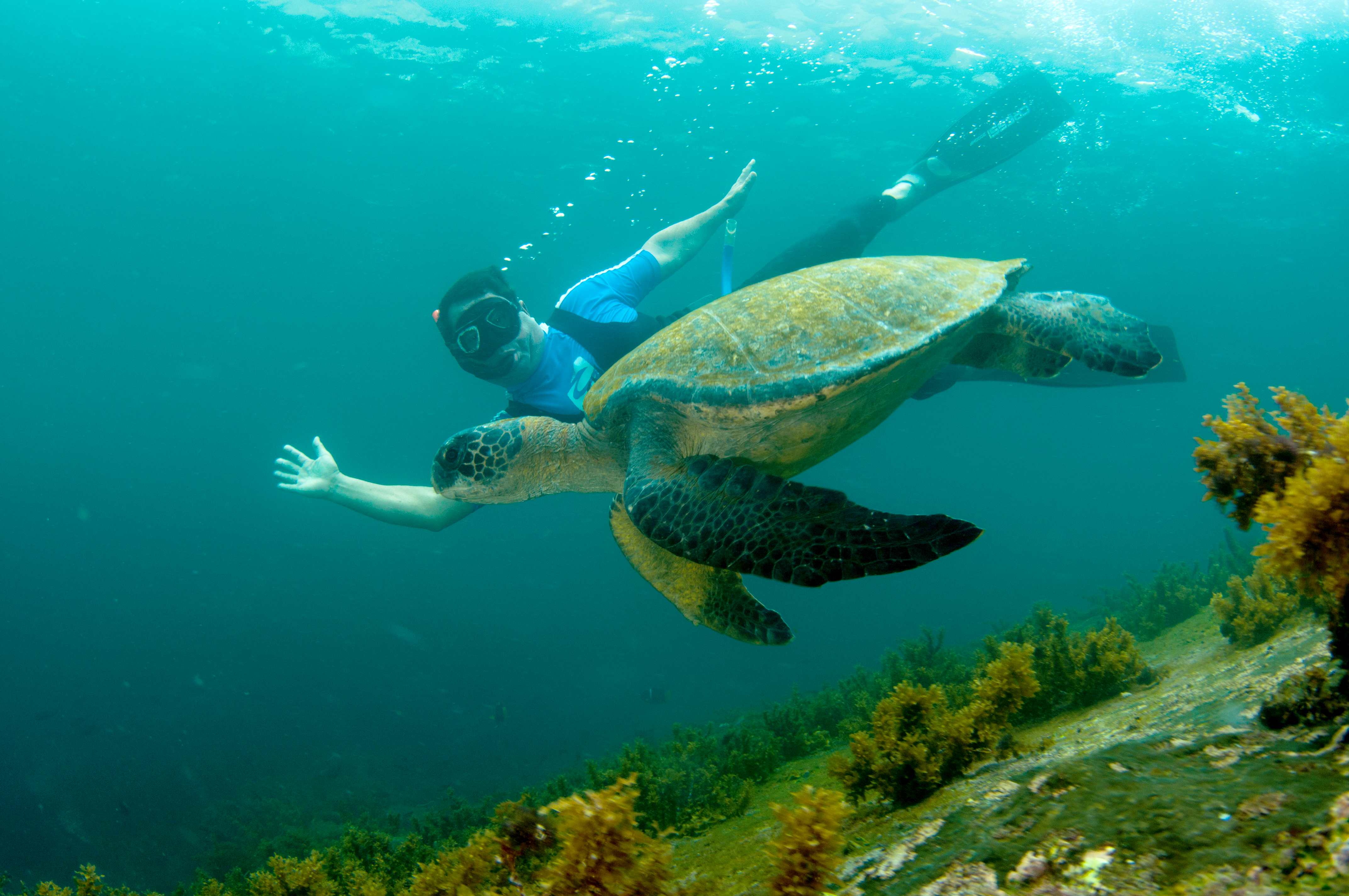Travel to Galapagos Islands with Veloso Tours, Ecuador & Galapagos