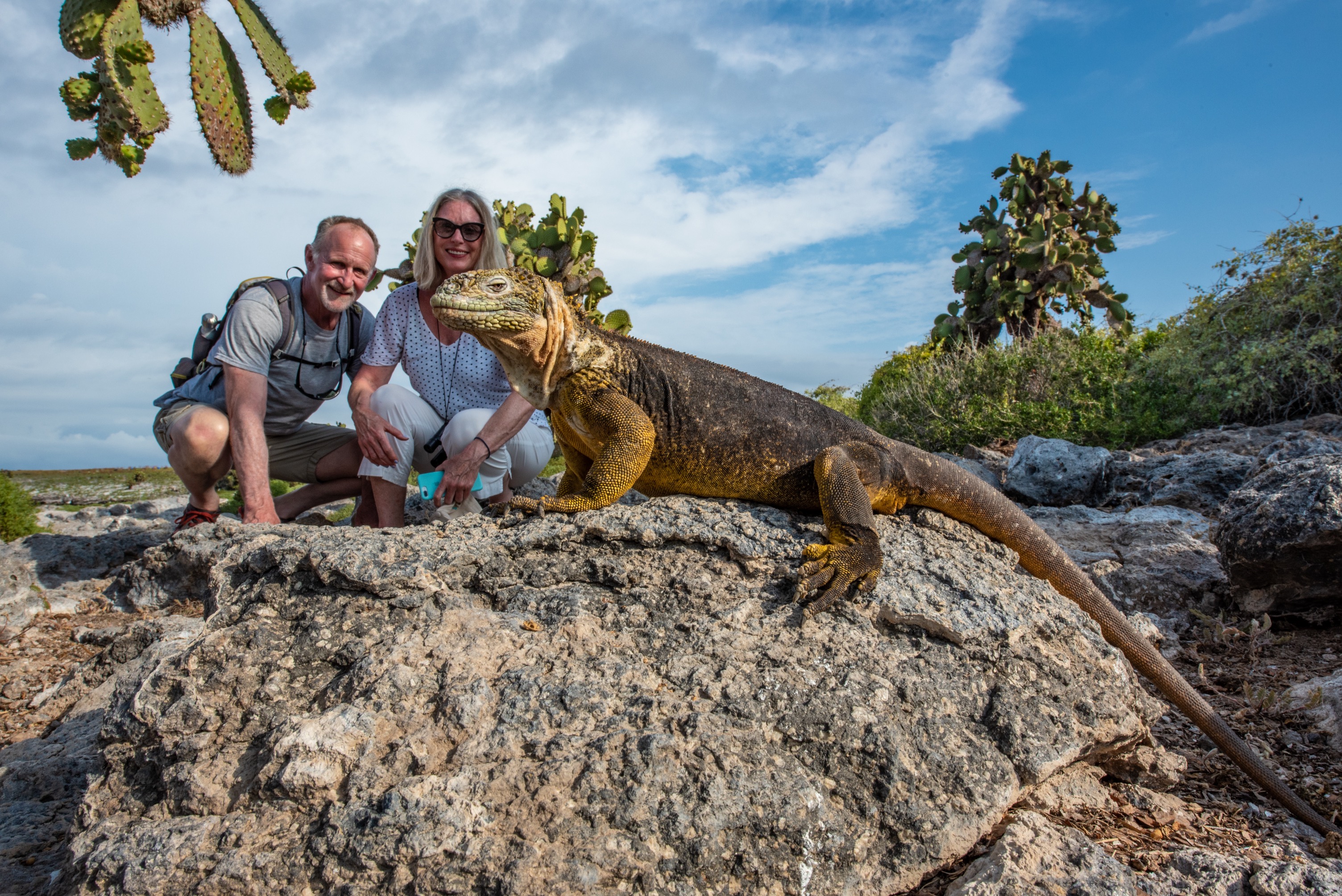 Close encounters with curious wildlife