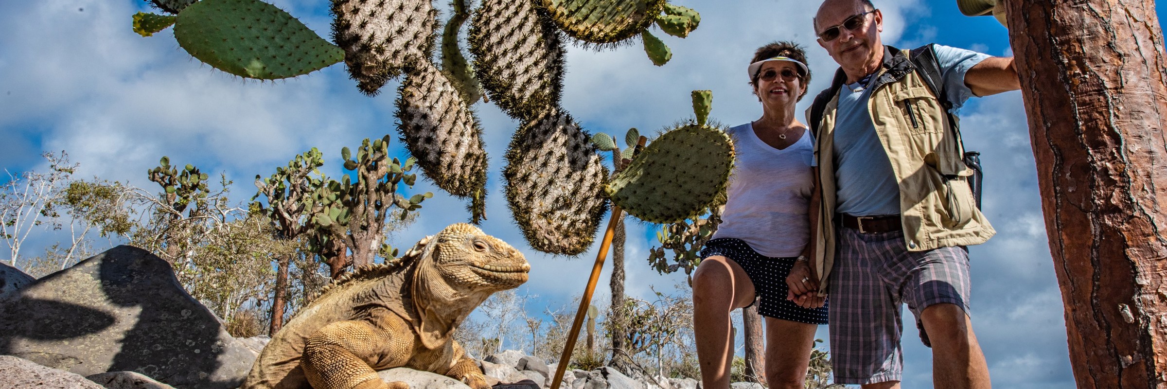 Santa Fe (11)
