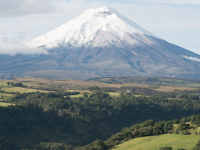 Frank Ecuador Others Cotopaxi Close Up