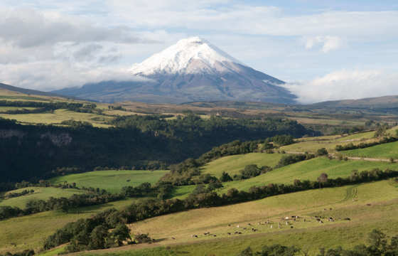Cotopaxi