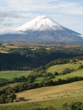 Cotopaxi