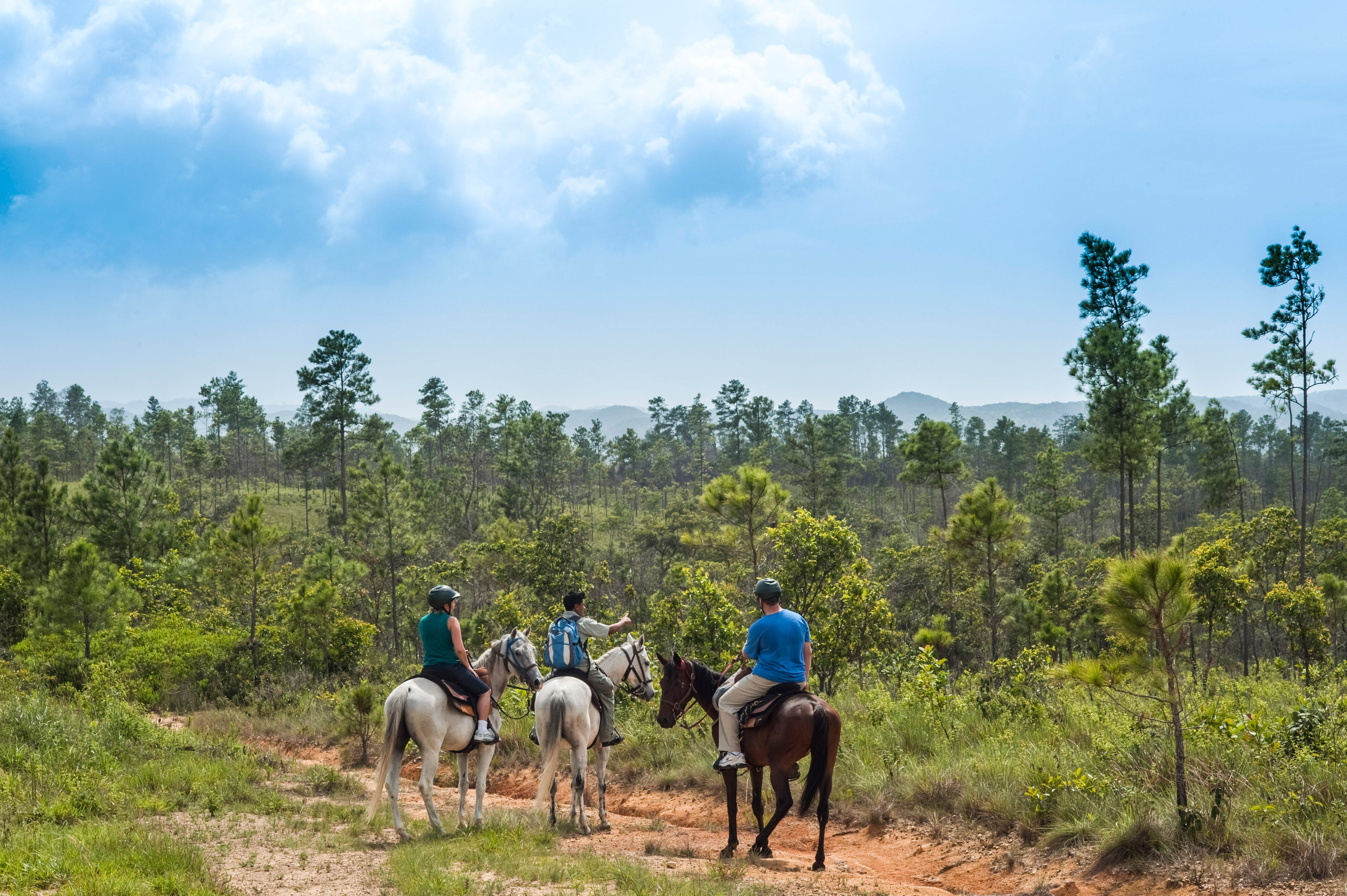 Horseriding in the Mountain Pine Ridge