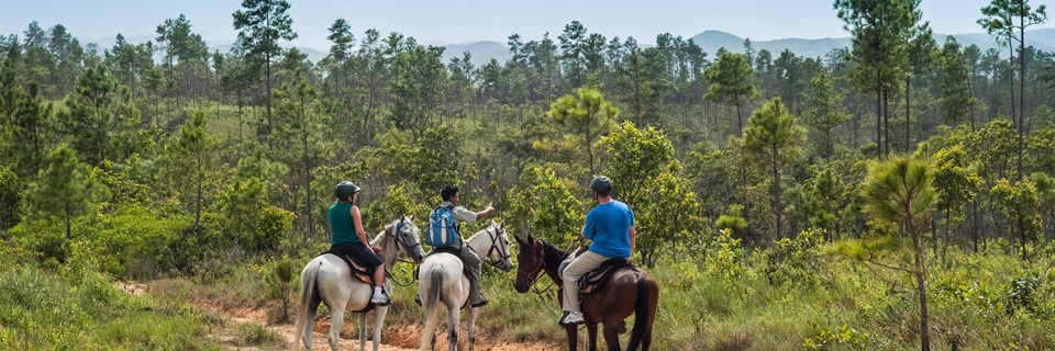 Horseriding in the Mountain Pine Ridge