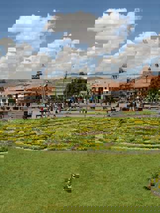 DSC 3053