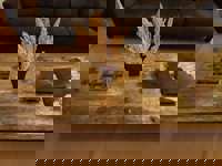 Rustic chic