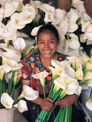 Colorful Guatemalan market scene with bundles of white calla lillies on display. 