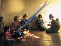 Weaving family