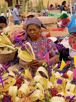 Riot of colours - Weavings and Flowers