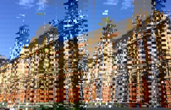 IMG 0562