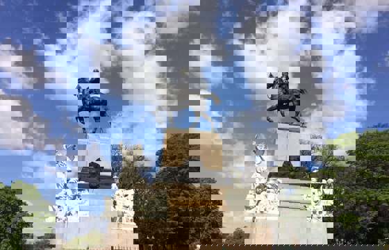 IMG 1146