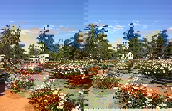 IMG 1166