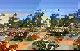 IMG 1166
