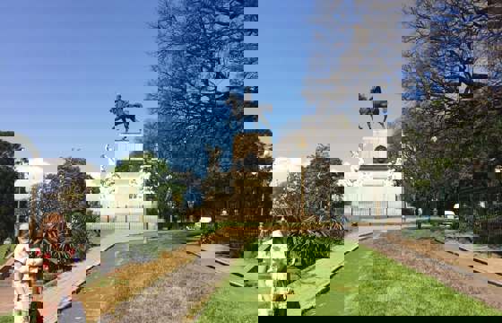 IMG 1241