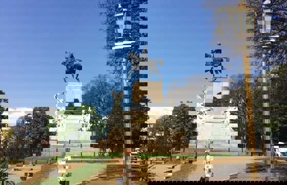 IMG 1242