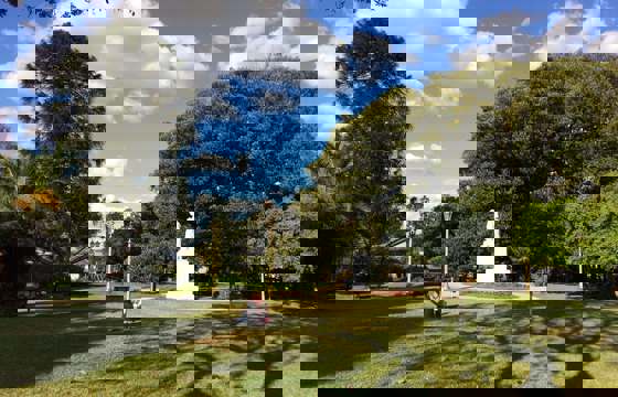 IMG 1655