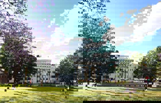 IMG 1656