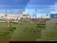 Polo in the city