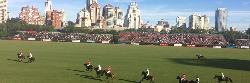 Polo in the city