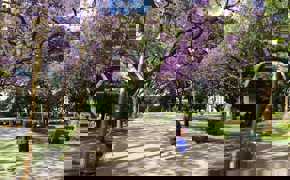 Cool parks