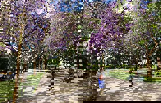 Cool parks