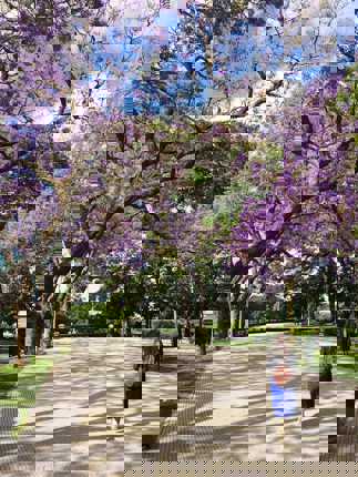 Cool parks