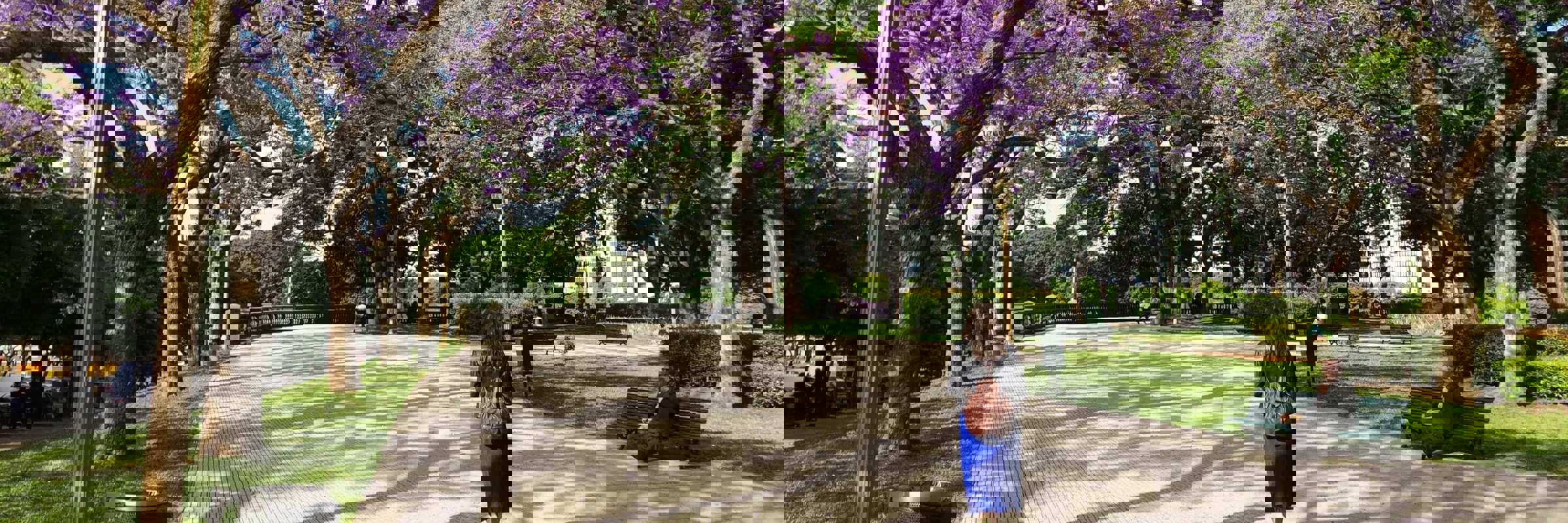 Cool parks