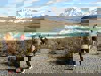 Travelers photograph the stunning mirrored reflection of Torres del Paine's peaks on a still Patagonia lake. 