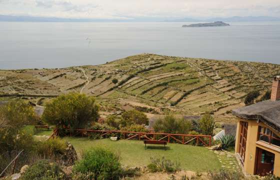 DSC 1976