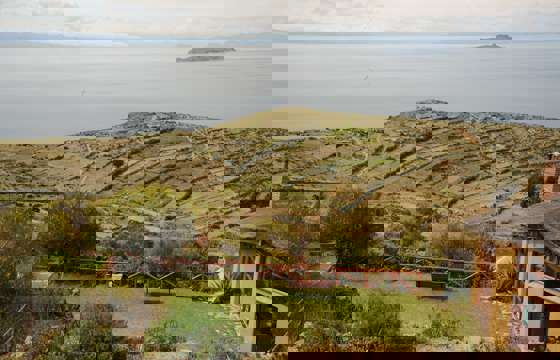 DSC 1976