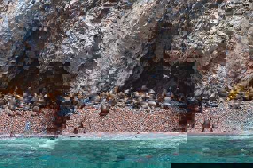 Ballestas Islands 