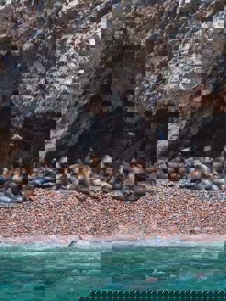 Ballestas Islands 