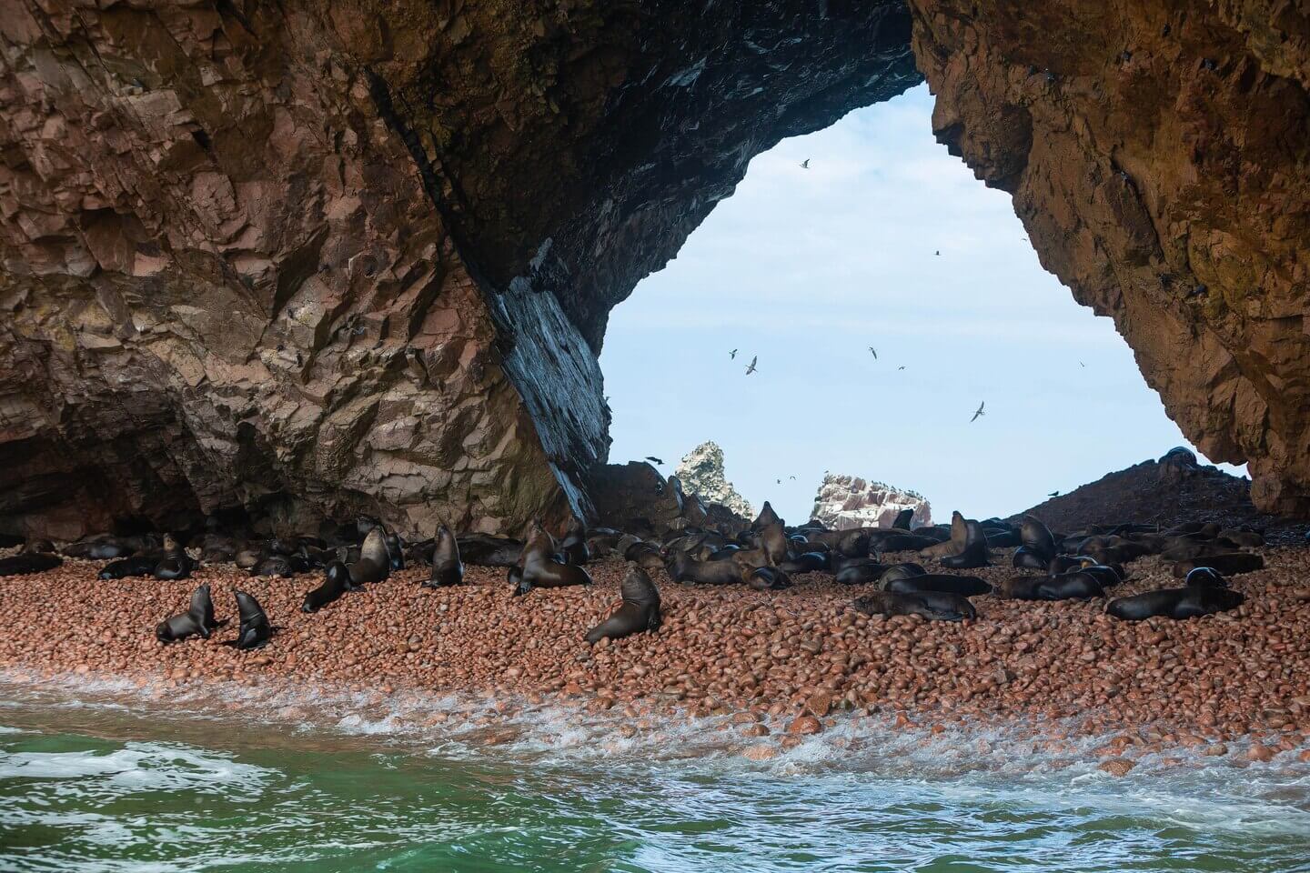 Sea lions resting on a pebbled beach beneath rocky arches on Peru's Ballestas Islands. 