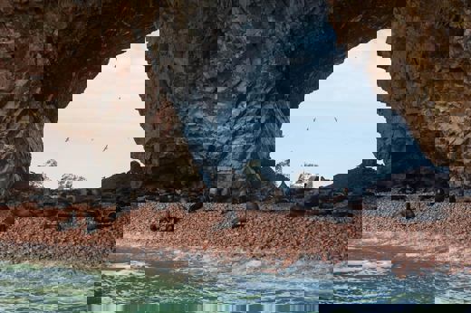 Sea lions resting on a pebbled beach beneath rocky arches on Peru's Ballestas Islands. 