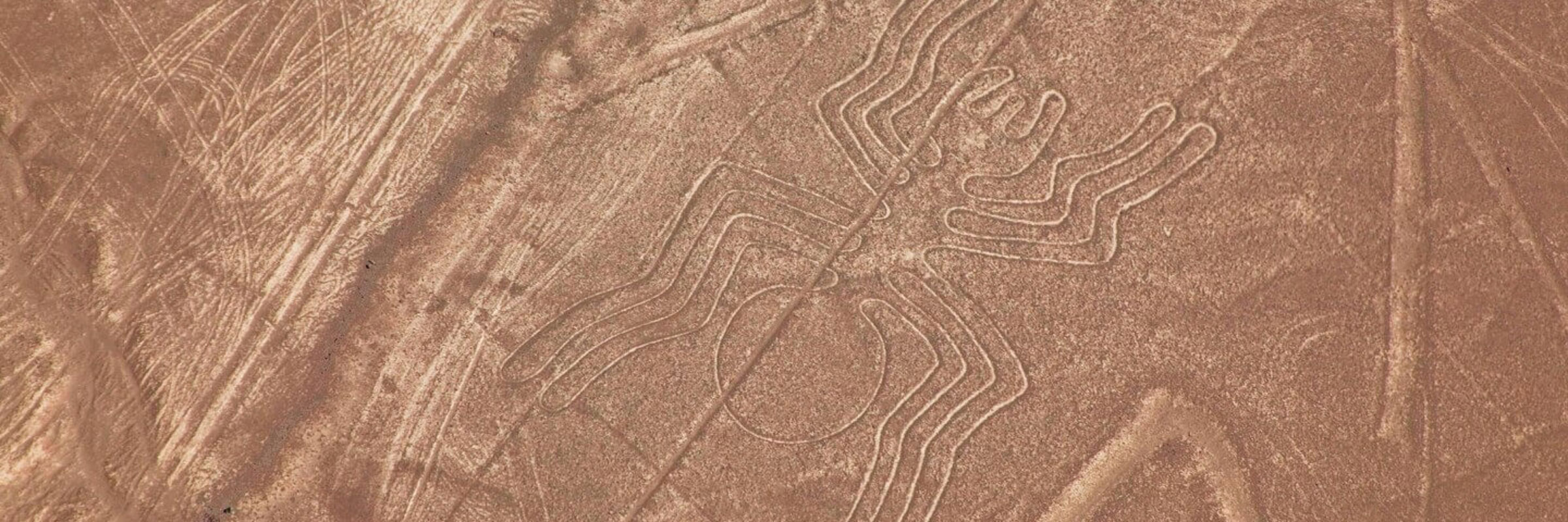 The Nazca Spider geoglyph unfurls across Peru's desert plain in a feat of ancient artistry. 