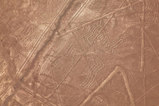 The Nazca Spider geoglyph unfurls across Peru's desert plain in a feat of ancient artistry. 