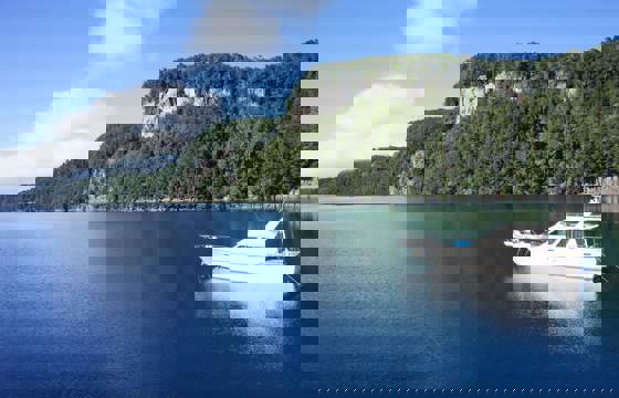 Lake Crossing & Forest