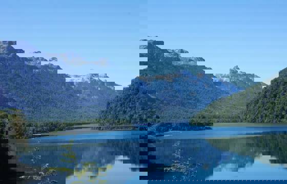Lake view