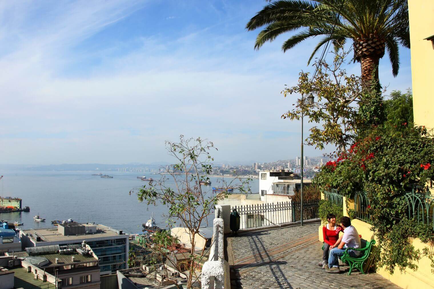 A scenic overlook in Valparaiso shows colourful hillside houses, palm trees, and the Pacific Ocean shimmering in the distance. 