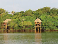 Rustic stilt lodges nestled along the water's edge in the Amazon rainforest, surrounded by lush green jungle. 