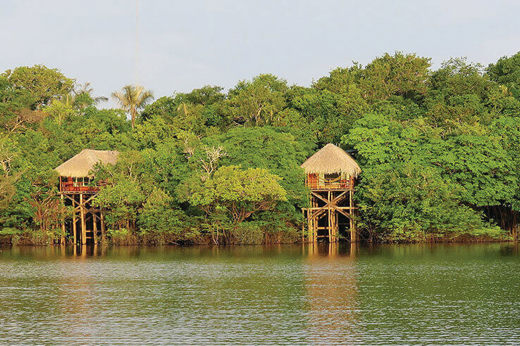 Rustic stilt lodges nestled along the water's edge in the Amazon rainforest, surrounded by lush green jungle. 